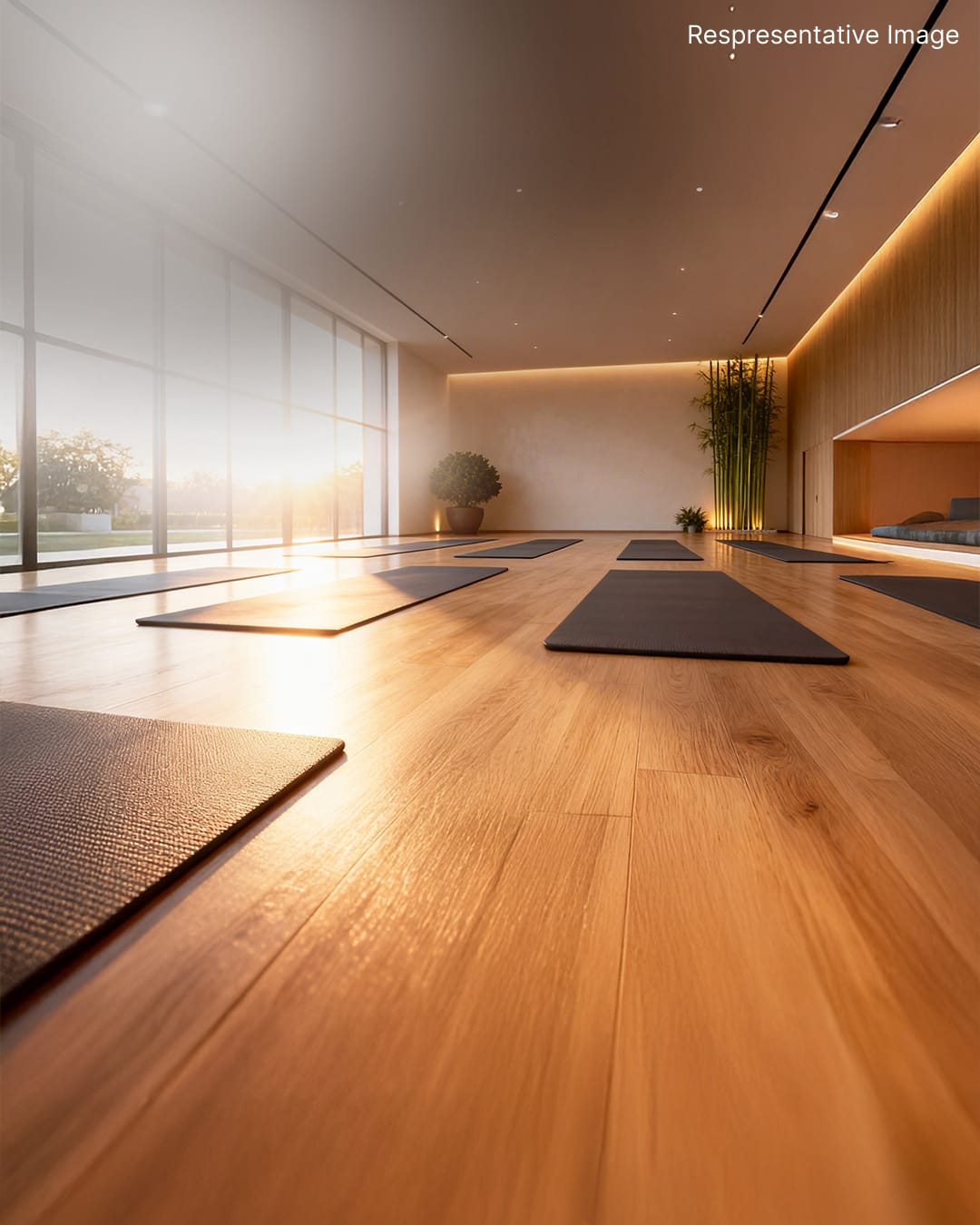 Yoga & Meditation Zone